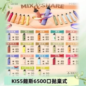鎧斯KIS5一次性 6500口磁吸式 自由混搭拋棄式電子煙#18個口味#