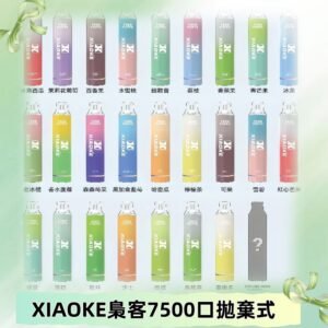 梟客XIAOKE|7500口可發光拋棄式電子煙 跑馬燈一次性